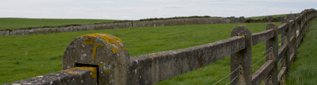 Ireland fence photo portfolio thumbnail